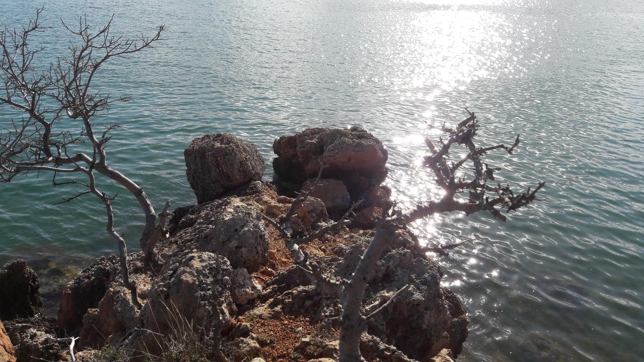 Apartments Cico Starigrad Paklenica Bagian luar foto